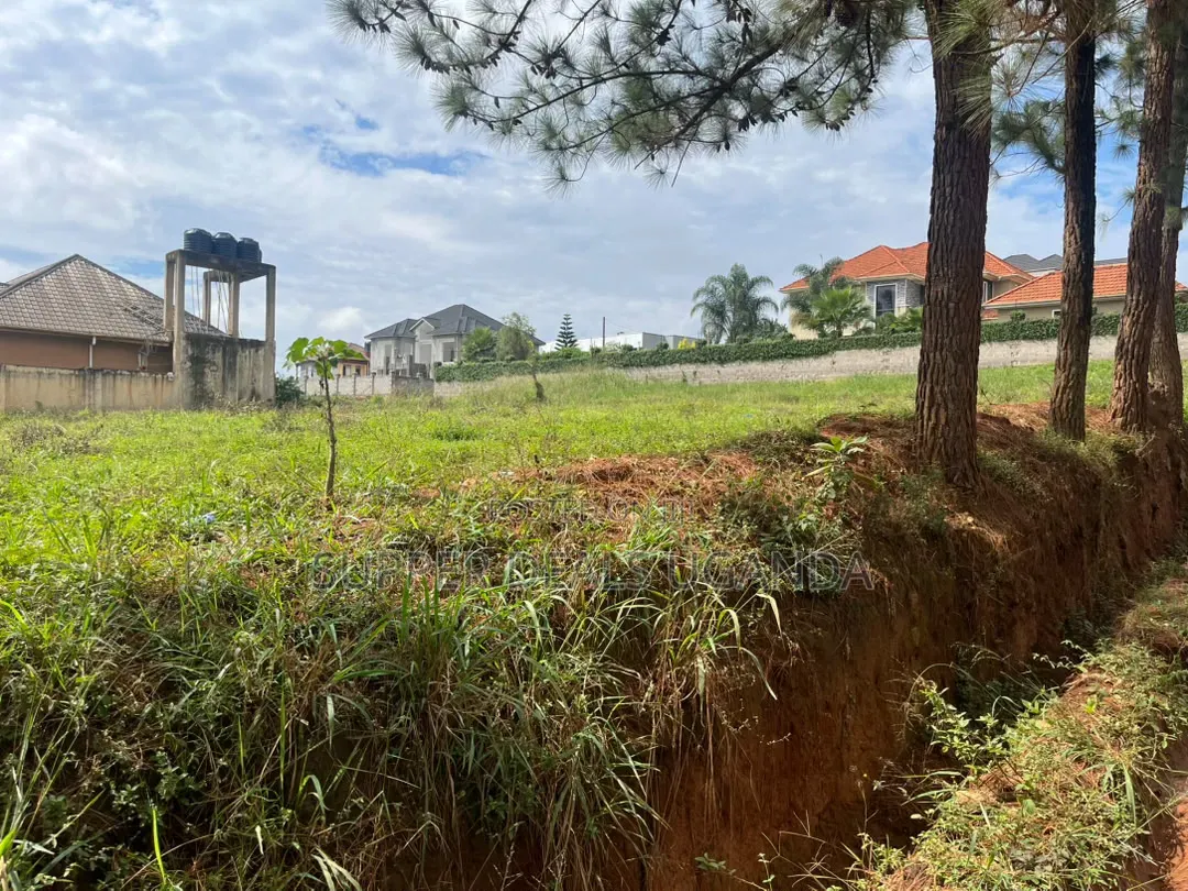 100by100ft Plot for Rent in Ntinda