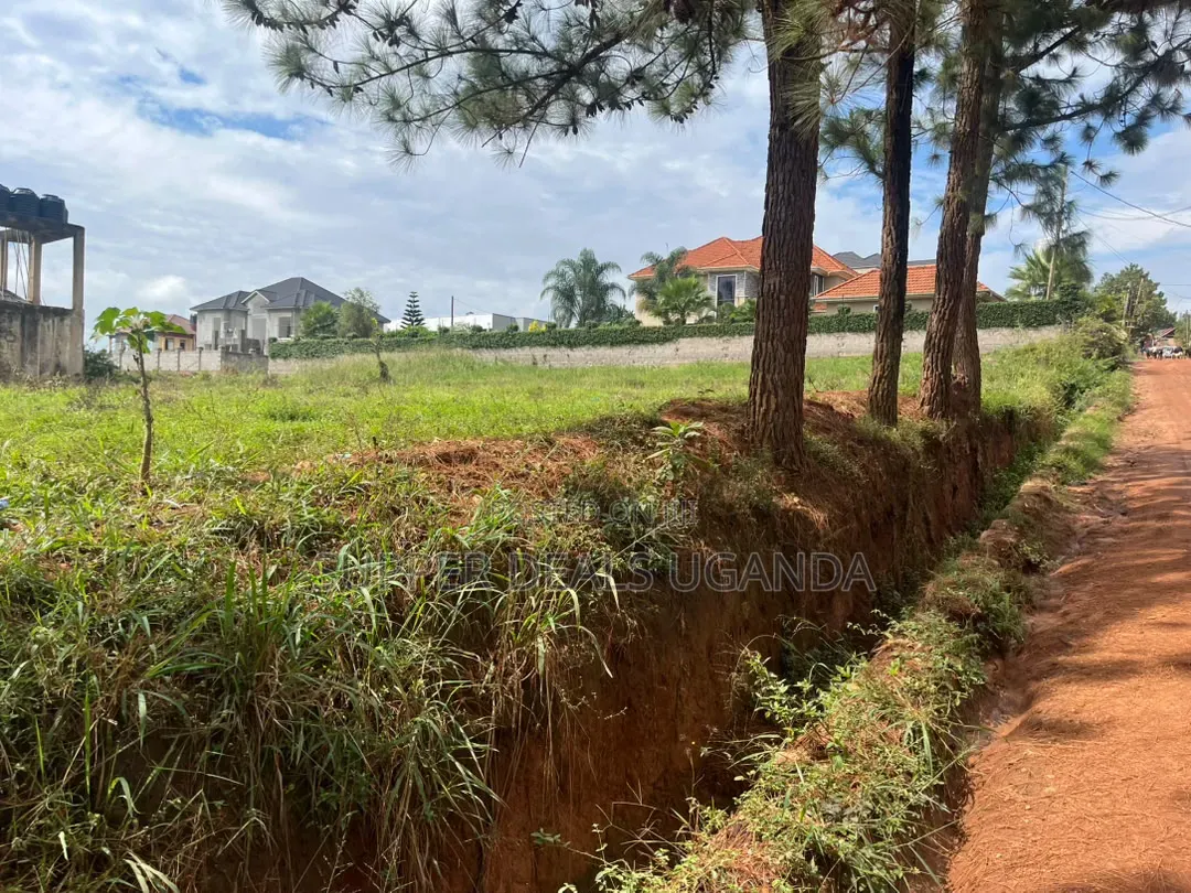 100by100ft Plot for Rent in Ntinda