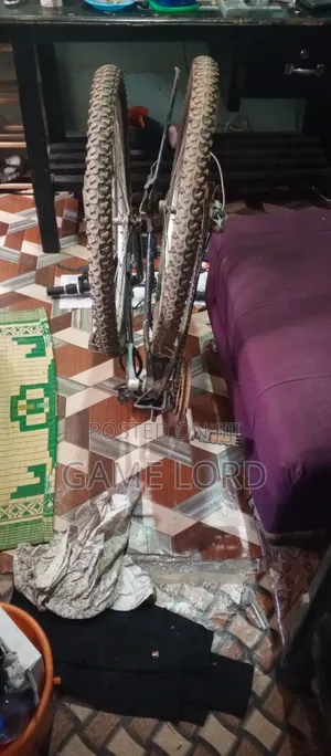 Original Foldable Bicycle on Quick Sale