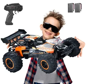 Cunning Fox 1:10 Scale Remote Control Buggy