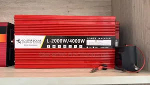 Simple Backup Inverter 2000/4000w/12volts