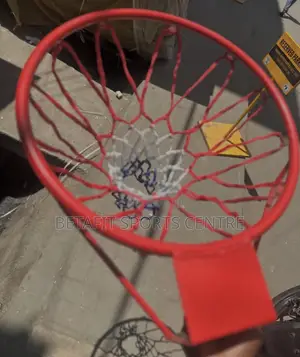 Wall Mounted Basketball Hoop Ring Goal Net
