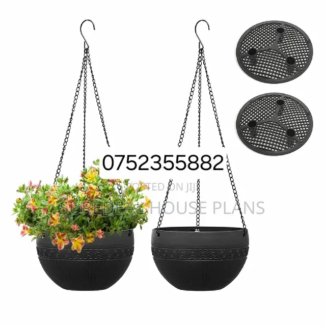 Hanging Plants