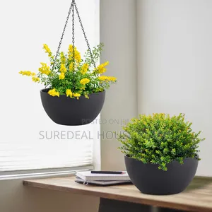 Hanging Plants