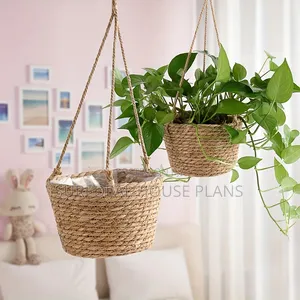 Hanging Plants