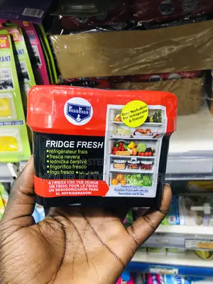 Fresh Fridge Deodorizer