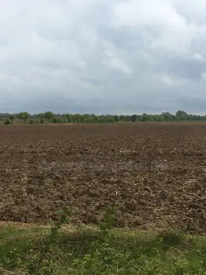 Quick Sale Land – Mutundwe