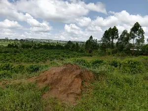 Commercial Plot for Sale – Seguku Nican