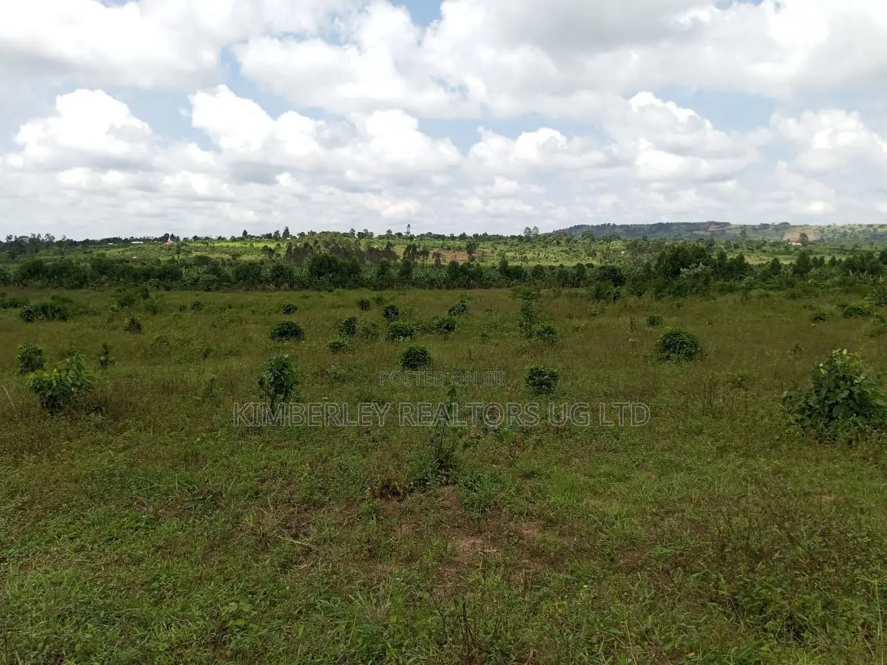Commercial Plot For Sale – Seguku Nican