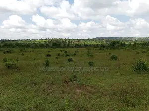 Commercial Plot For Sale – Seguku Nican