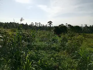 Commercial Plot For Sale – Seguku Nican
