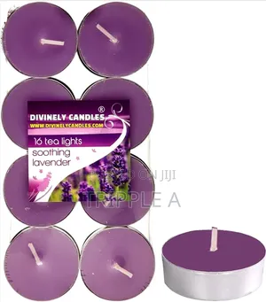 Warm Delight Tealights Candles
