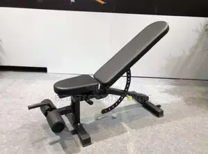 Adjustable Weight Bench (Fid Bench)