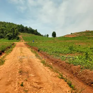 Busiika Town Estate at 15m Per Plot