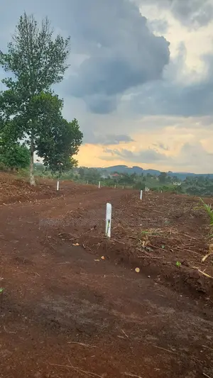 Busiika Town Estate at 15m Per Plot
