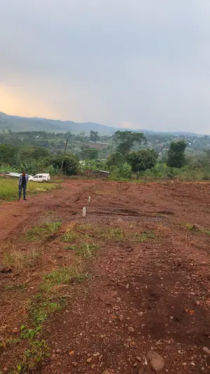 Busiika Town Estate at 15m Per Plot