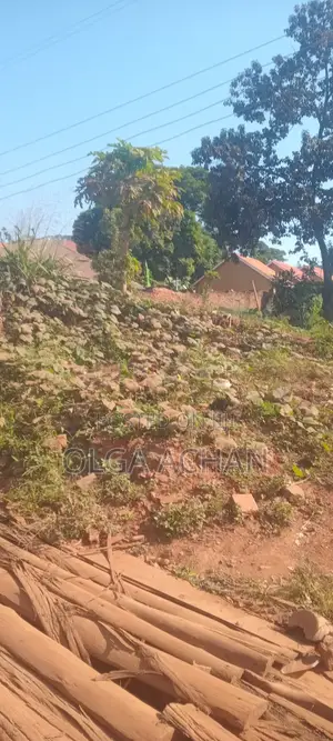 Katale- Seguku Plot Entb Rd