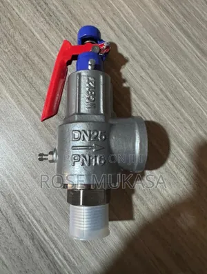 Safety Valve Threaded