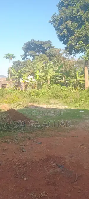 Bwerenga Plot