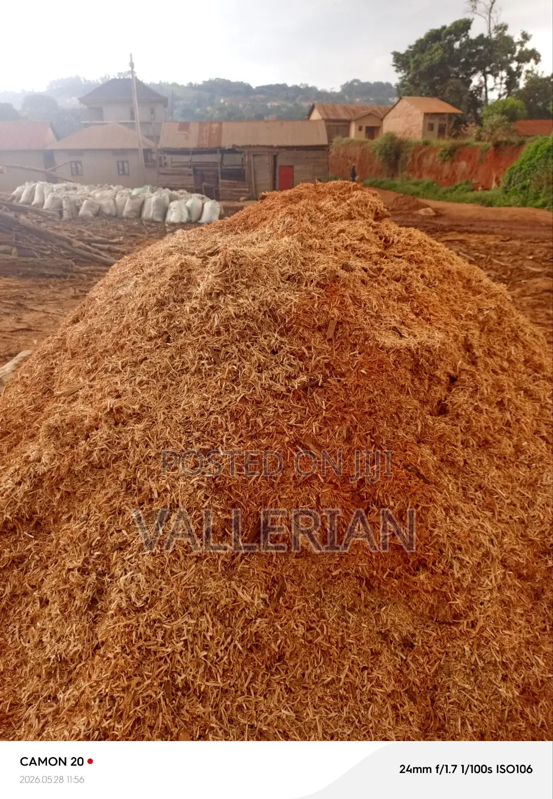 Saw Dust Epumbu