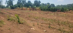 Plots 50ft by 100ft at Kapeeka