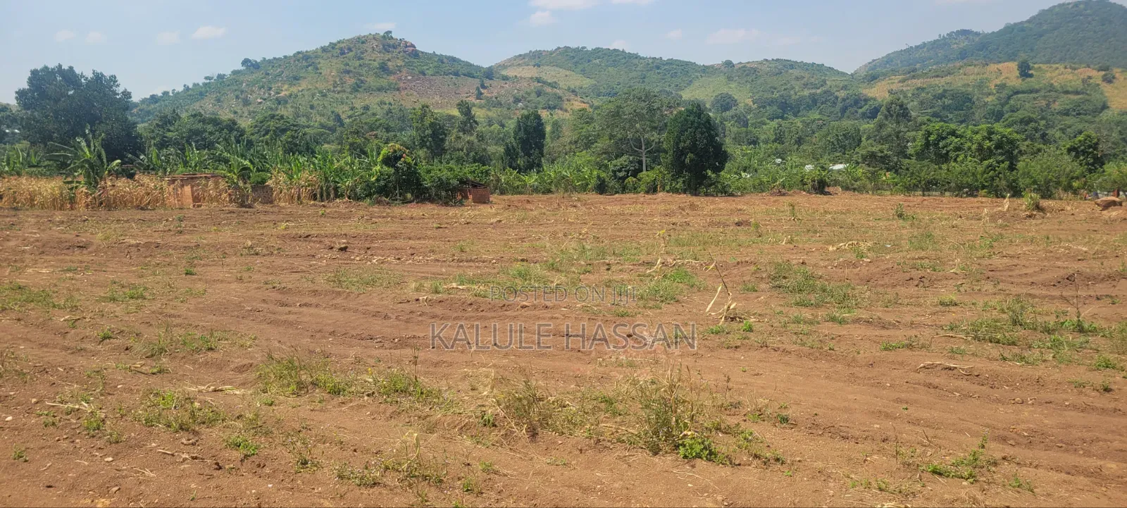 50ft by 50 Ft Plot at Kapeeka