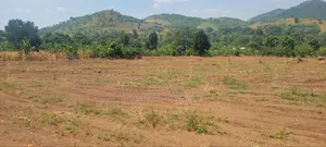 50ft by 50 Ft Plot at Kapeeka