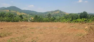 50ft by 50 Ft Plot at Kapeeka