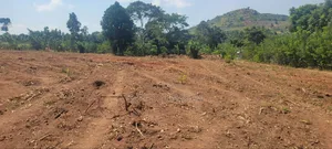 50ft by 50 Ft Plot at Kapeeka