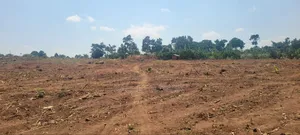 25ft by 50ft Plots for Sale at Kapeeka