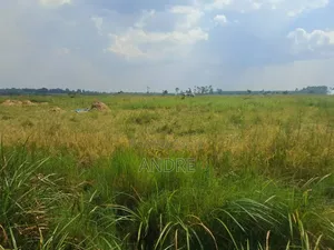12 Acres of Farmland Zirobwe