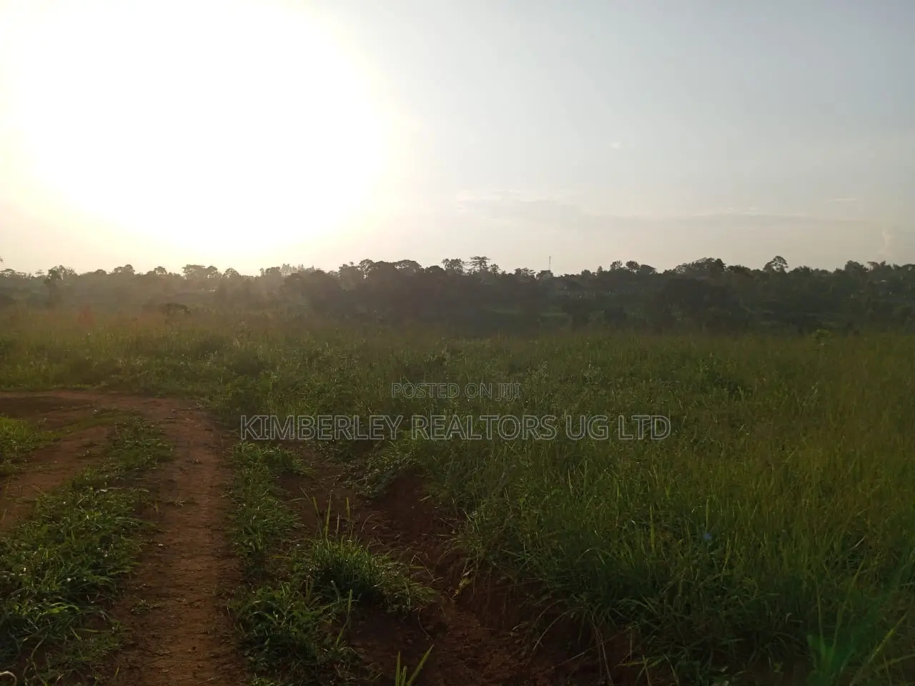 Commercial Plot For Sale – Seguku Nican