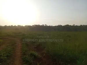 Commercial Plot For Sale – Seguku Nican