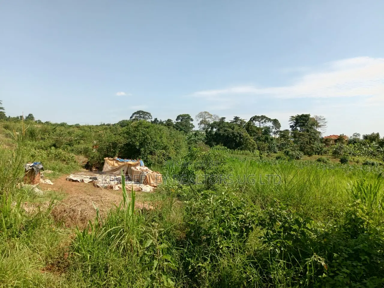 Commercial Plot For Sale – Seguku Nican