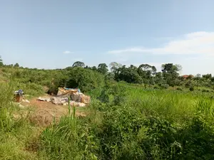 Commercial Plot For Sale – Seguku Nican