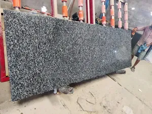 Pasite Granite Natural Slabs