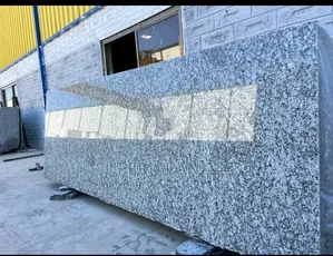 Pasite Granite Natural Slabs