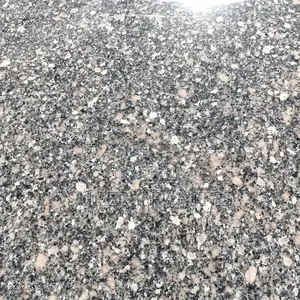 Pasite Granite Natural Slabs