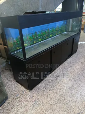 Pare Black Best Looking Fish Tank