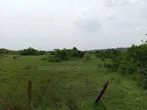Lake View Estate Plots for Sale – Entebbe Bwerenga