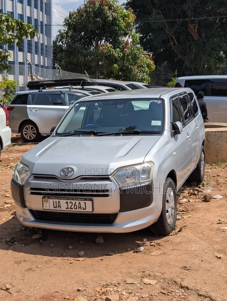 Toyota Probox 2010 Silver