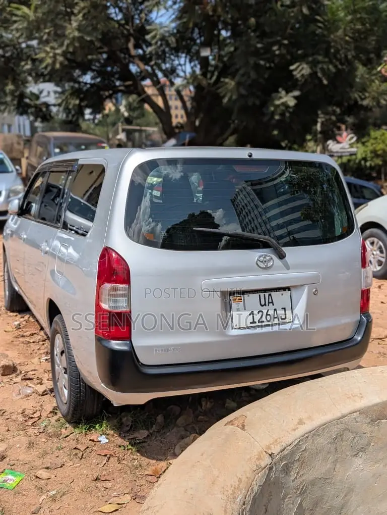 Toyota Probox 2010 Silver