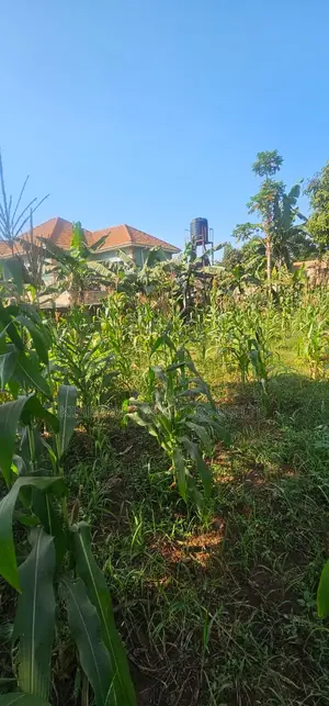 Quick Sale Plot – Kitende (Entebbe Road)
