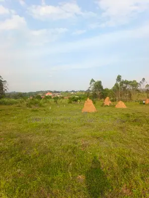 Estate Plots for Sale – Hoima Road (Nsekwa)