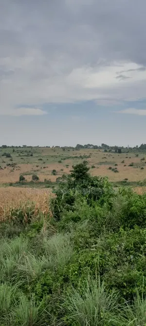 10 Acres of Land in Mityana
