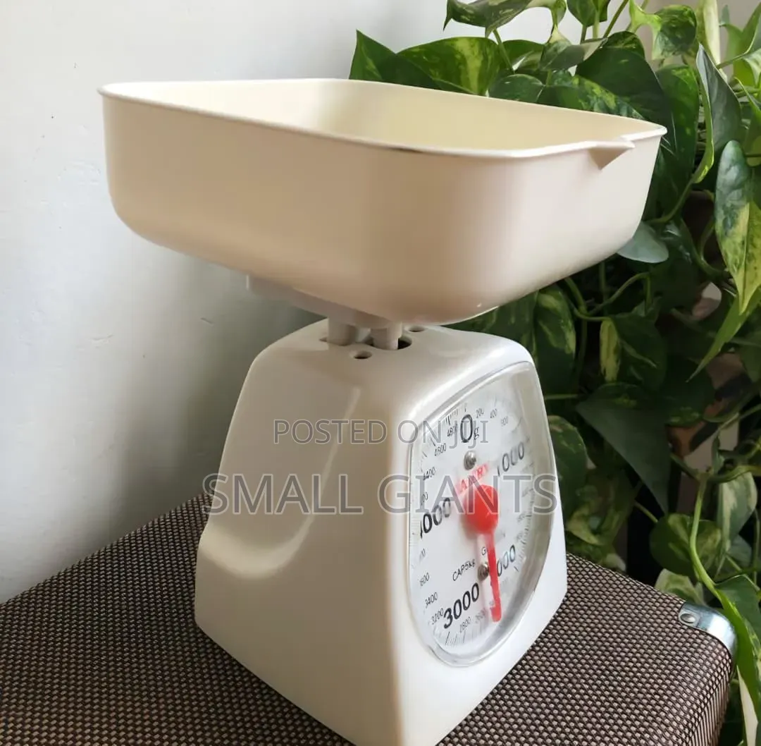 Camry Mechanical Kitchen Scale