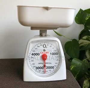 Camry Mechanical Kitchen Scale