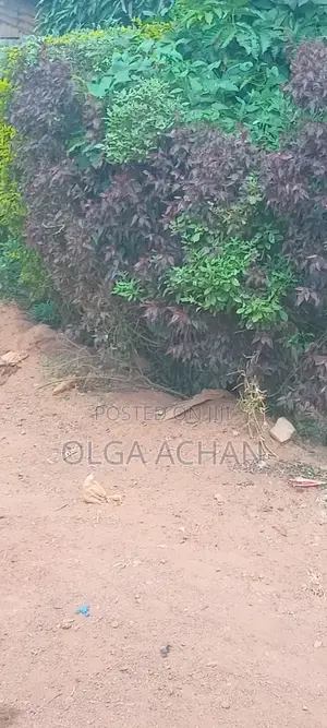 Bwerenga Entb Plot