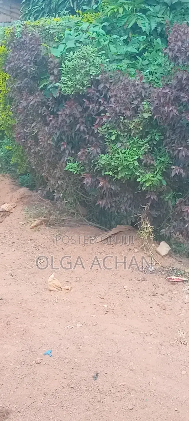 Bwerenga Entb Plot