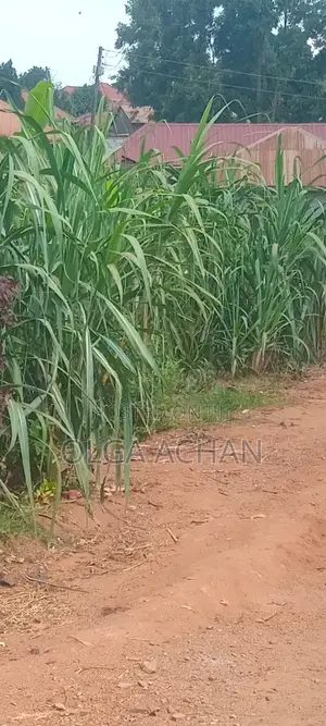 Wakiso - Bakka Plot